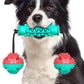 Dog Chew Toys Pet Toothbrush Rubber Bones Teeth Cleaning